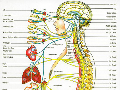 他にはないアプローチ