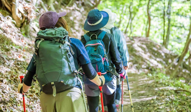 腰の痛さと重さで長時間歩けなかった６８歳女性がカイロを受けて２週間で趣味の山歩きができるまでに回復した症例